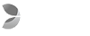 Evolution Gaming